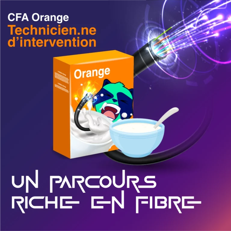 INSTAFibre copie